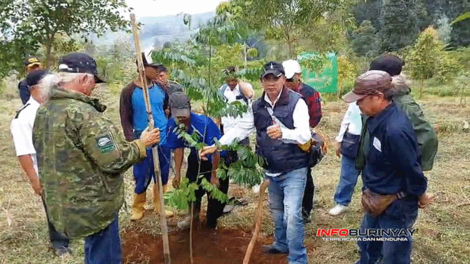 Kelompok relawan lingkungan di Kabupaten Bandung sedang menanam bibit pohon di kawasan Gambung sebagai bagian dari aksi kolaborasi pelestarian hulu sungai.