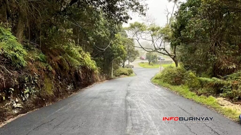 Pihak pengelola telah memperbaiki jalan hotmix menuju lokasi Kawah Putih Desa Patengan Kecamatan Rancabali Kab. Bandung.