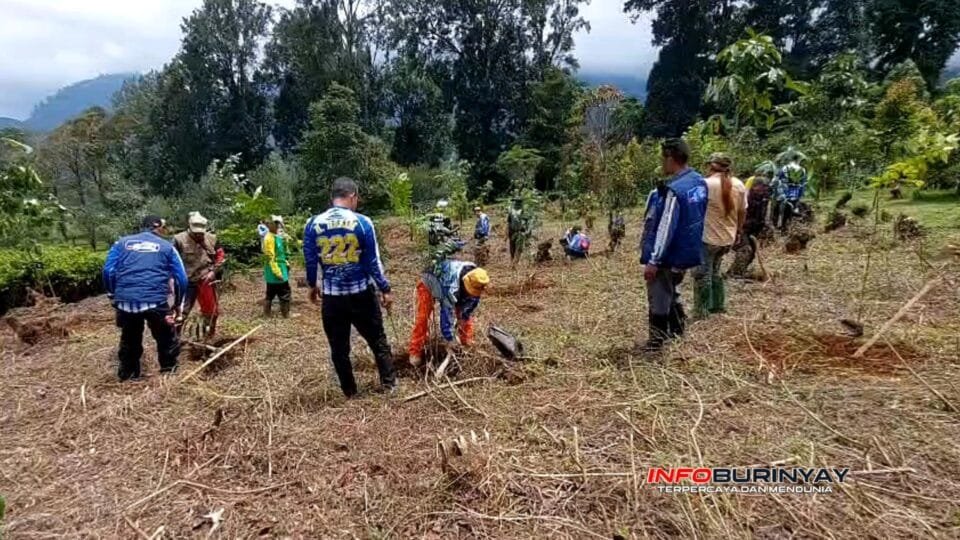 Aksi tanam pohon kolaboratif Yayasan Panata Giri Raharja bersama Komunitas TOB dan insan jurnalis di kawasan Rancacangkuang, PPTK Gambung, Pasirjambu, Kabupaten Bandung.