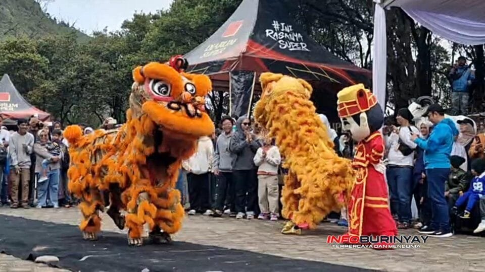 Pertunjukan barongsai meriah di Festival Barongsai 2026 kawasan Wisata Kawah Putih Rancabali Kabupaten Bandung disaksikan ratusan pengunjung.