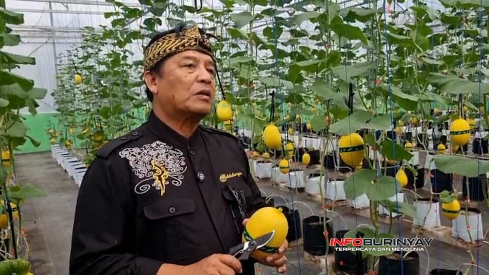 Dr. H. Dadang M. Naser memegang melon hasil budidaya di greenhouse petani Nagreg saat mendorong kemandirian benih dan penguatan koperasi