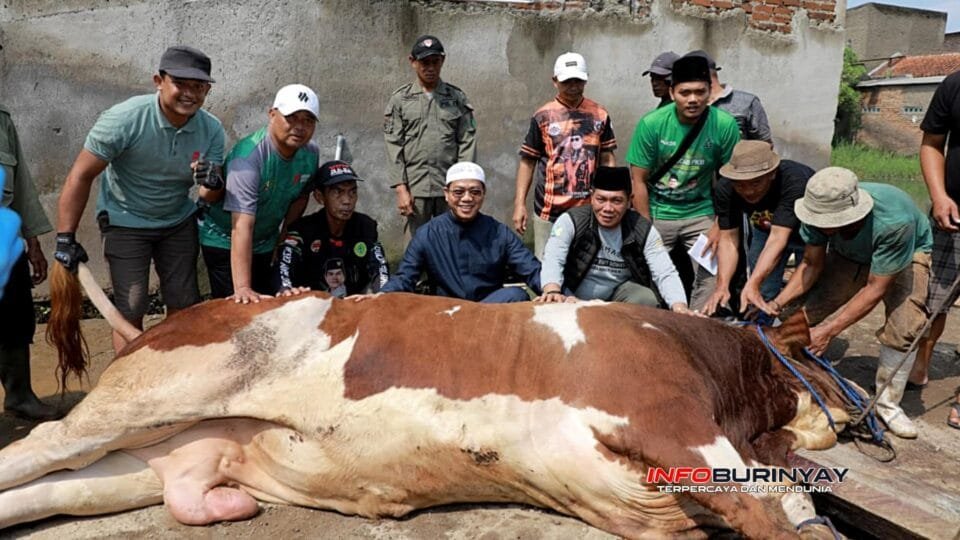 Bupati Bandung Dadang Supriatna bersama warga dan panitia berfoto usai penyembelihan sapi kurban pada Hari Raya Idul Adha 1447 H di Desa Tegalluar, Kecamatan Bojongsoang, Kabupaten Bandung, Rabu (2752026).