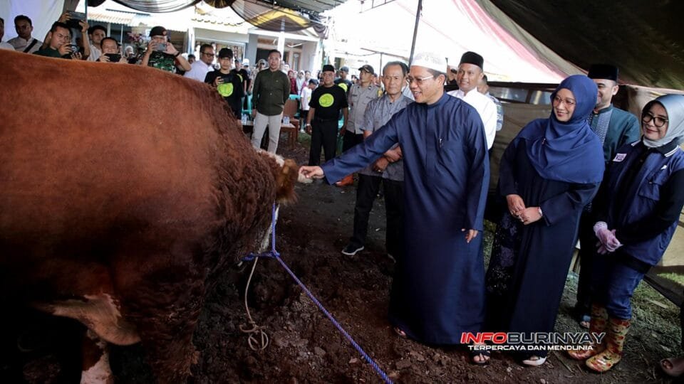 Bupati Bandung Dadang Supriatna meninjau langsung sapi kurban bantuan Presiden RI Prabowo Subianto sebelum proses penyembelihan di Masjid Miftahul Jannah, Desa Citeureup, Kecamatan Dayeuhkolot, Kabupaten Bandung, Rabu (2752026).