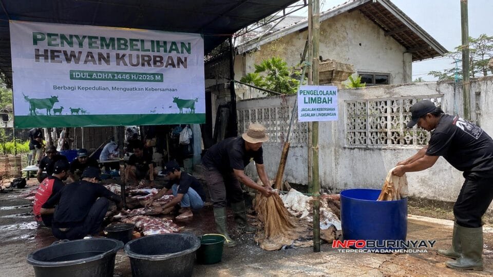 Proses pengelolaan limbah hewan kurban dilakukan masyarakat saat penyembelihan Idul Adha di Jawa Barat.