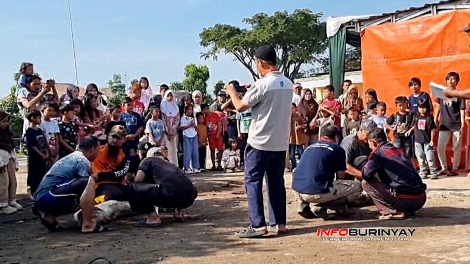 Warga Perum Rancaekek Permai II menyaksikan proses penyembelihan hewan kurban Idul Adha 1447 H di halaman Masjid Al Ikhlas, Desa Jelegong, Kecamatan Rancaekek, Kabupaten Bandung.