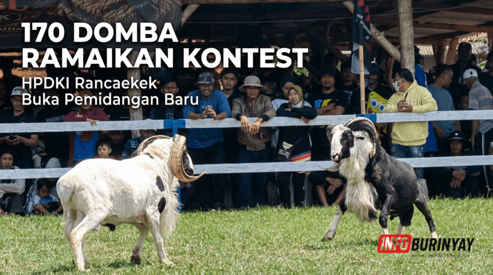 170 domba mengikuti kontes latihan HPDKI Rancaekek di Pamidangan Dapoer Geboel