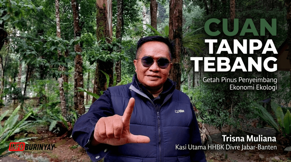 Trisna Muliana ungkap getah pinus sumbang 67 persen pendapatan Perhutani Jabar-Banten